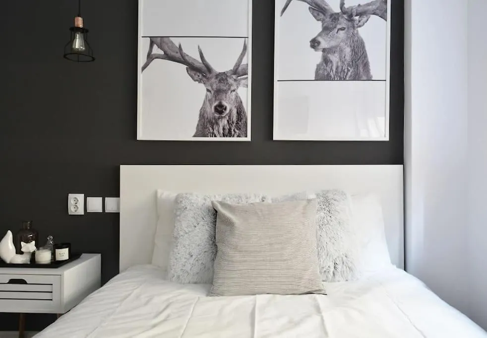 부쿠레슈티 2 Bdr / Cozy Ap Near Old Town 아파트 루마니아